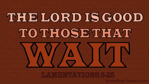 Lamentations 3:25 The Lord Is Good To Those Who Wait (brown)